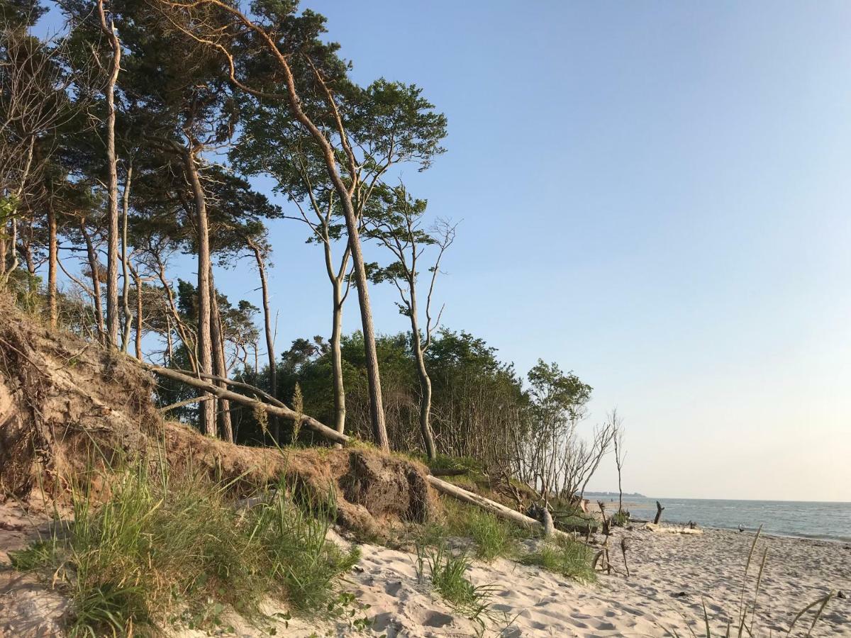 Kontorhaus by Ferienhaus Strandgut Born Exterior foto
